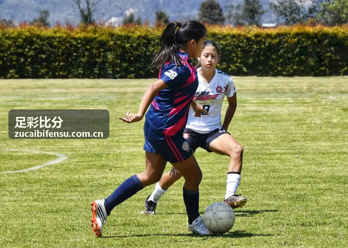 足彩比分新闻 - 预测模型升级